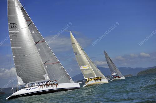 LGK03_11012012_REGATTA_2012
