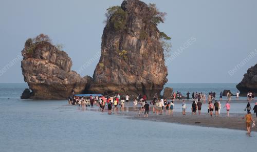 BETING PASIR