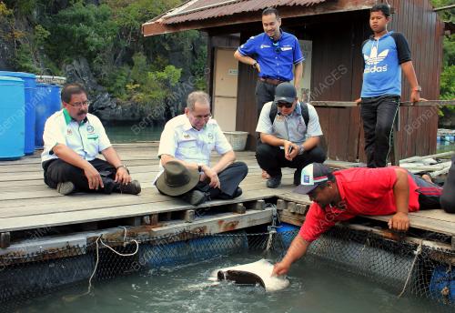 LGK03_14032017_LAWATAN_KERJA