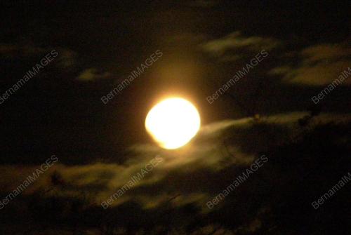 GERHANA BULAN