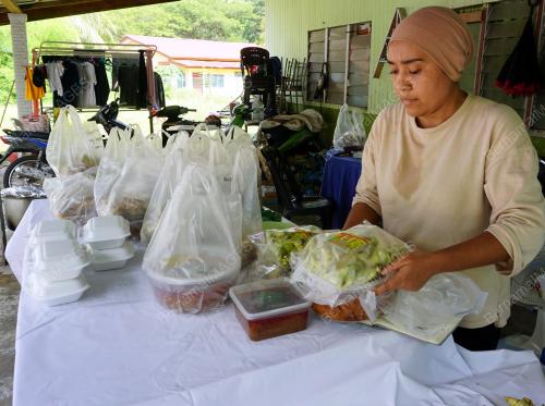 KETUPAT PALAS LANGKAWI