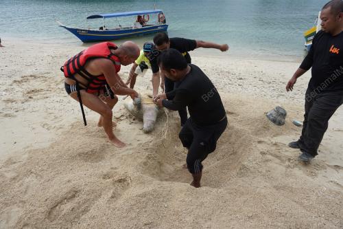 LGK03_29072019_BANGKAI_PENYU