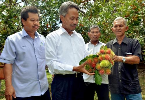 LGK03_30062013_RAMBUTAN_R191