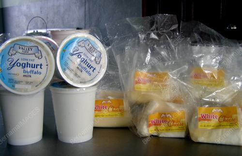 KEJU PUTIH