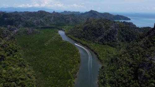 TAMAN GEOFOREST KARST KILIM