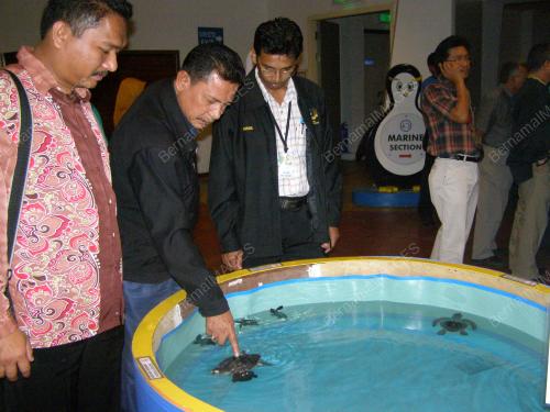 PAMERAN