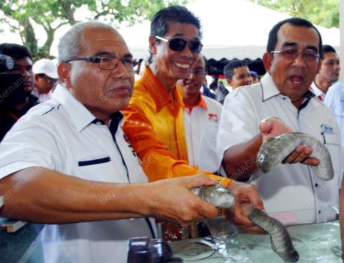 LGK04_30062012_TEREPANG