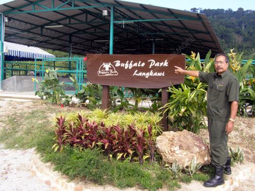 BUFFALO PARK