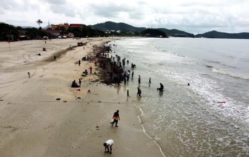 SIPUT PANTAI CHENANG