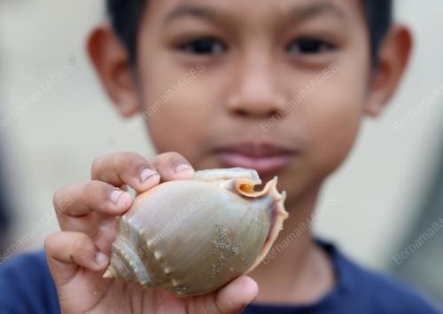 PANTAI TANJUNG RHU