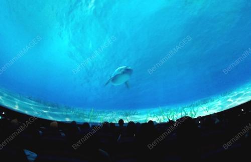 LGK06_01092014_SKY_DOME_1