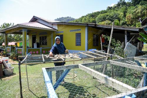 DESA KEDA PULAU TUBA