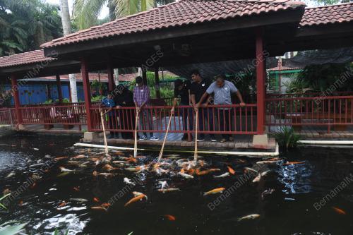 LGK09_03062019_IKAN_KOI_BN201905240590