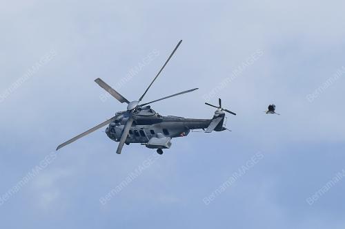 PEMBUKAAN LIMA 2025