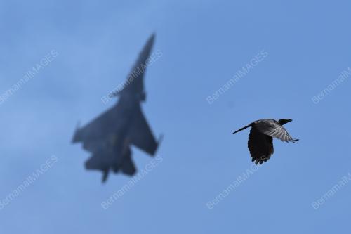 LIMA19_26032019_LIMA