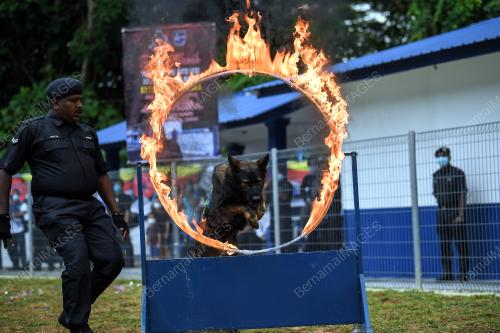 POLIS DIRAJA MALAYSIA