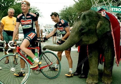 LTDL01-010200_GAJAH-BASIKAL_07012016