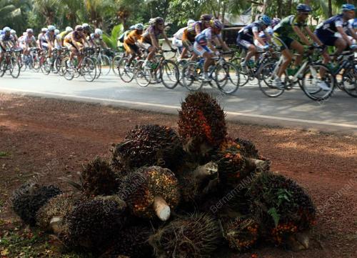 LE TOUR DE LANGKAWI 2008