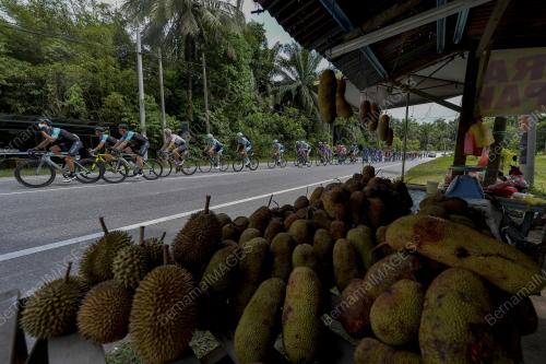 LE TOUR DE LANGKAWI 2020