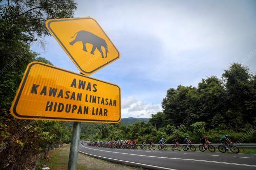 LE TOUR DE LANGKAWI 2025
