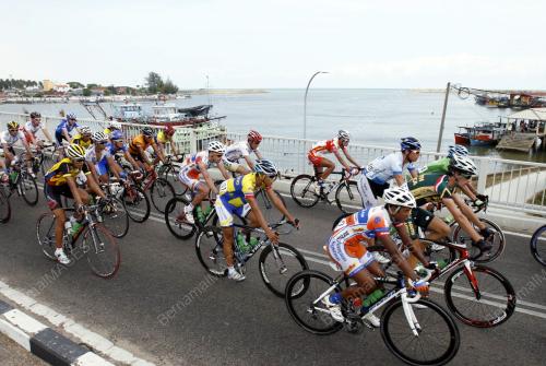 LTDL_PELUMBA