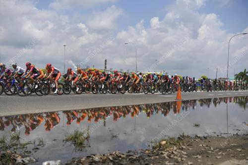 LTDL02_21032018_STAGE4_BN201803141877