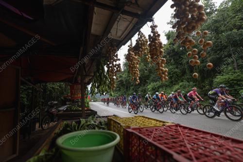 LE TOUR DE LANGKAWI MALAYSIA 2023