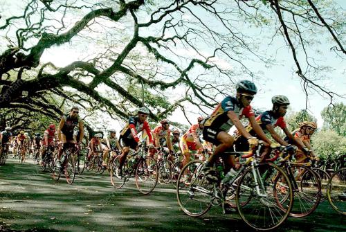 LTDL02-28_01_2000 AYUH CEPAT