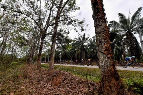 LE TOUR DE LANGKAWI 2020