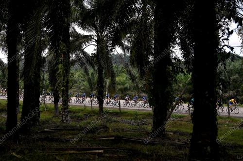 LE TOUR DE LANGKAWI 2020