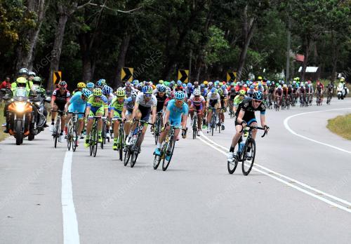 LTDL05_12032015_STAGE5
