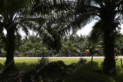 LTDL05_22032018_STAGE5_BN201803141897