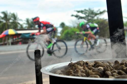 LTDL06_12032015_STAGE5
