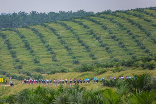 LE TOUR DE LANGKAWI 2024
