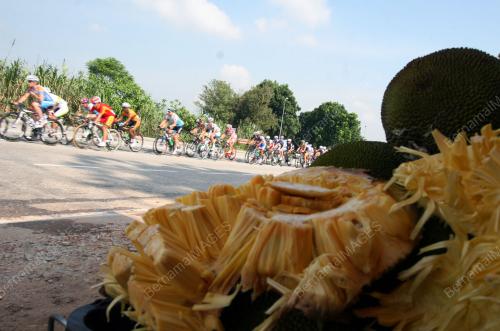 LE TOUR DE LANGKAWI