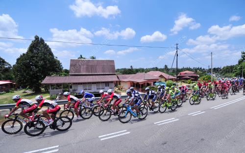 LTDL10_01032016_LTDL