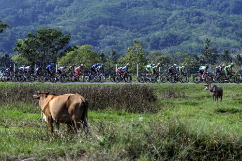 LTDL10_12042019_LANGKAWI