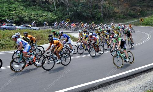LTDL11_03032014_LTDL