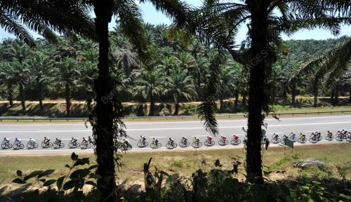 LTDL11_08032014_LTDL