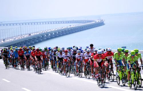 LTDL11_25022016_LTDL