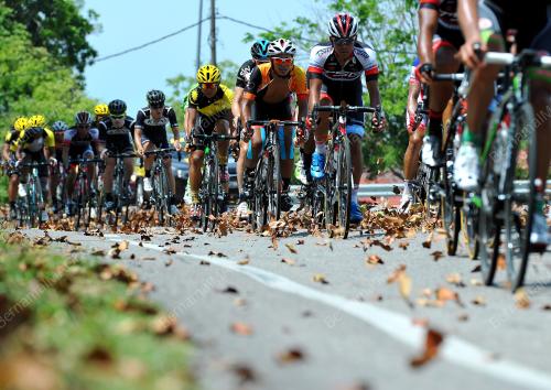 LTDL12_12032015_STAGE5