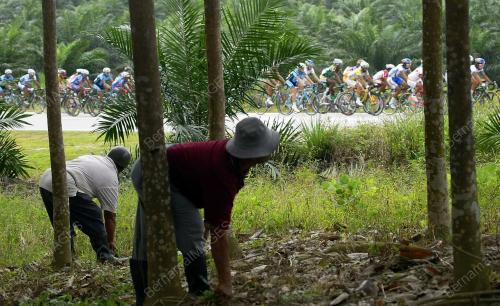 LE TOUR DE LANGKAWI