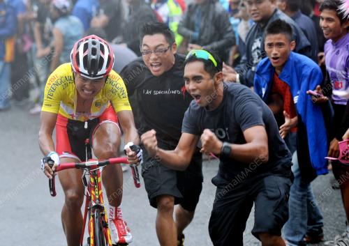 LTDL12_25022013_LTDL
