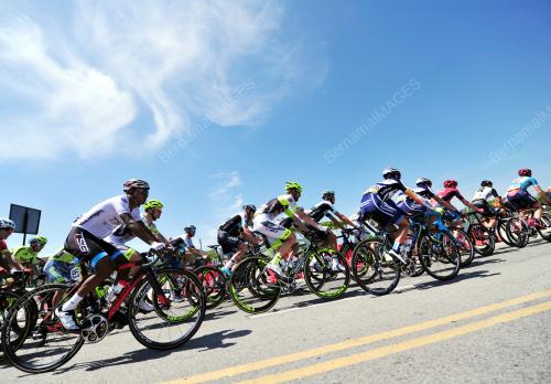 LTDL12_25022016_LTDL