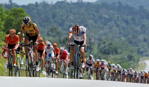 LTDL13_01022011_LTDL