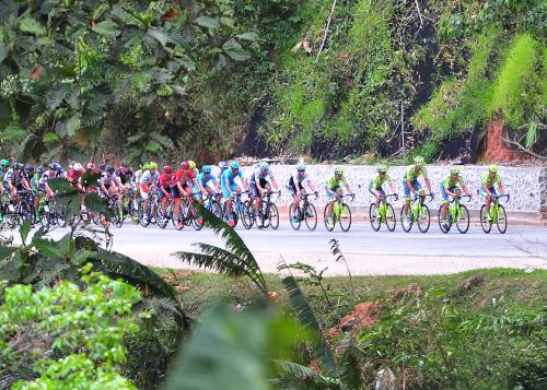 LTDL13_27022016_LTDL