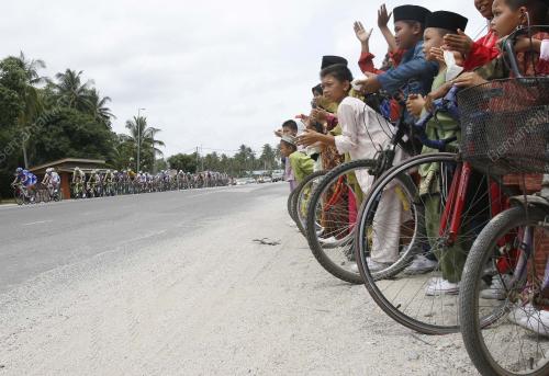 LTDL_PELUMBA