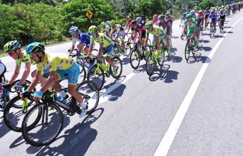 LTDL14_25022016_LTDL