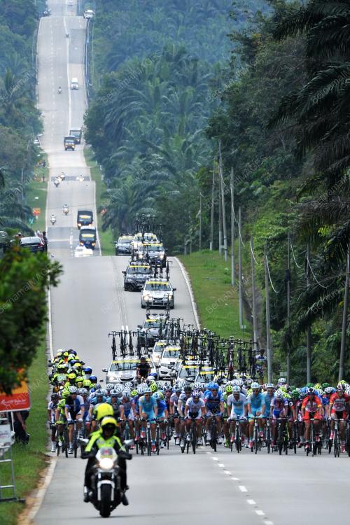 LTDL16_25022013_LTDL