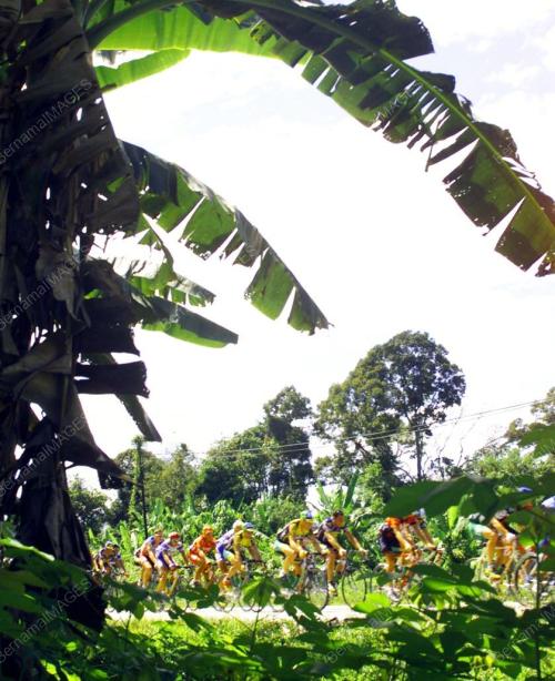 LTdL01-14_02_2001PISANG_19012016